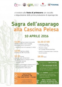 festa dell'asparago